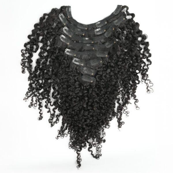 “Curly Haire” Clip-Ins